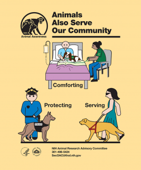 Animal Awareness Posters | OACU