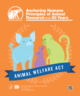 Animal Awareness Posters | OACU Animal Awareness Posters | OACU