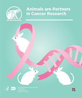 Animal Awareness Posters | OACU Animal Awareness Posters | OACU