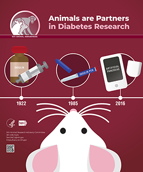 Animal Awareness Posters