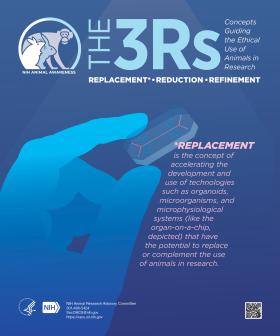 Animal Awareness Posters | OACU